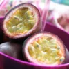 Roots Plants Passion Fruit Plant | Passiflora Edulis 1 Roots Plants Passion Fruit Plant | Passiflora Edulis