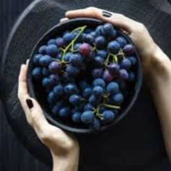 Roots Plants 90cm 'Vanessa' Seedless Outdoor Grape Vine | 2L Pot