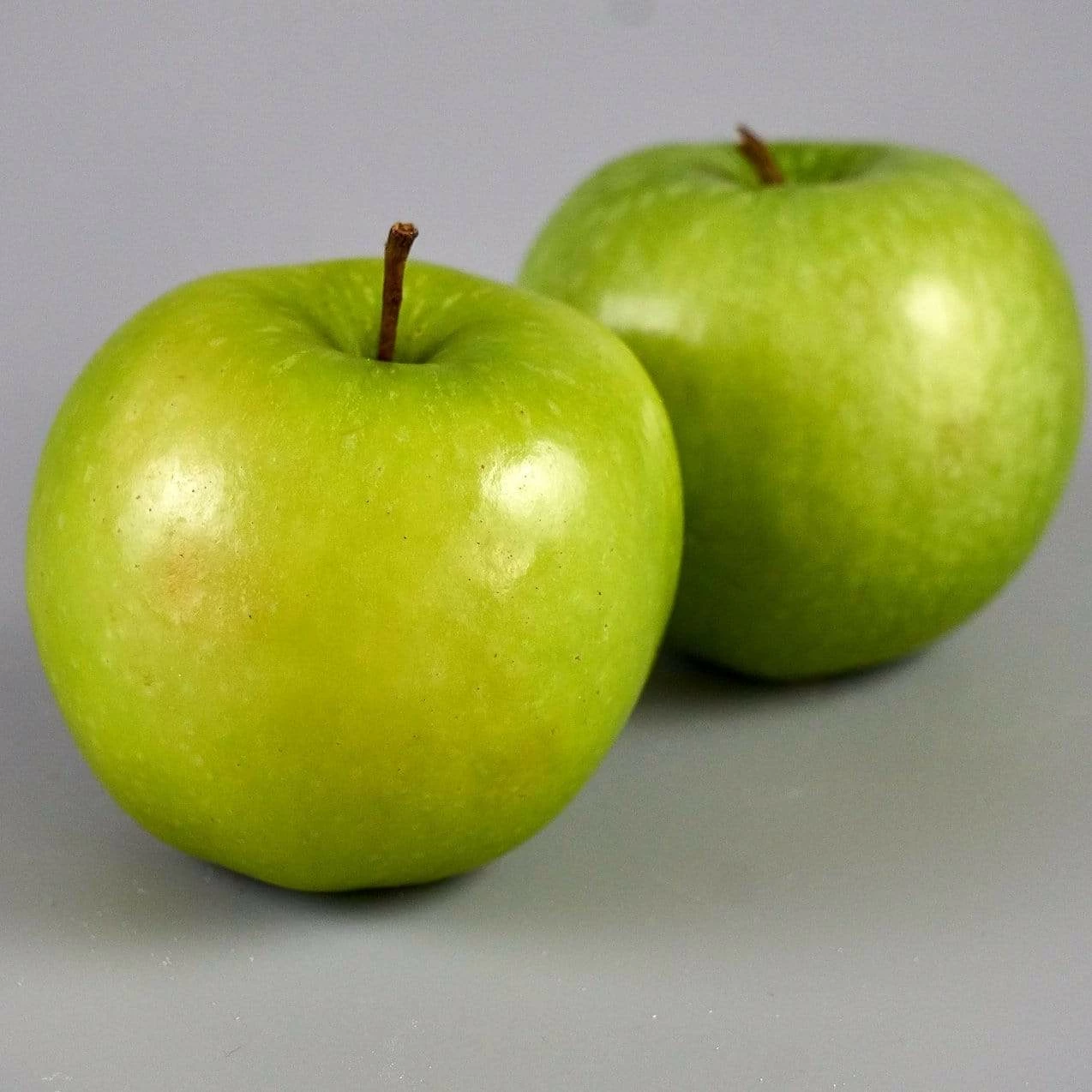 Roots Plants Granny Smith Apple Tree Fruits 5 Roots Plants Granny Smith Apple Tree Fruits