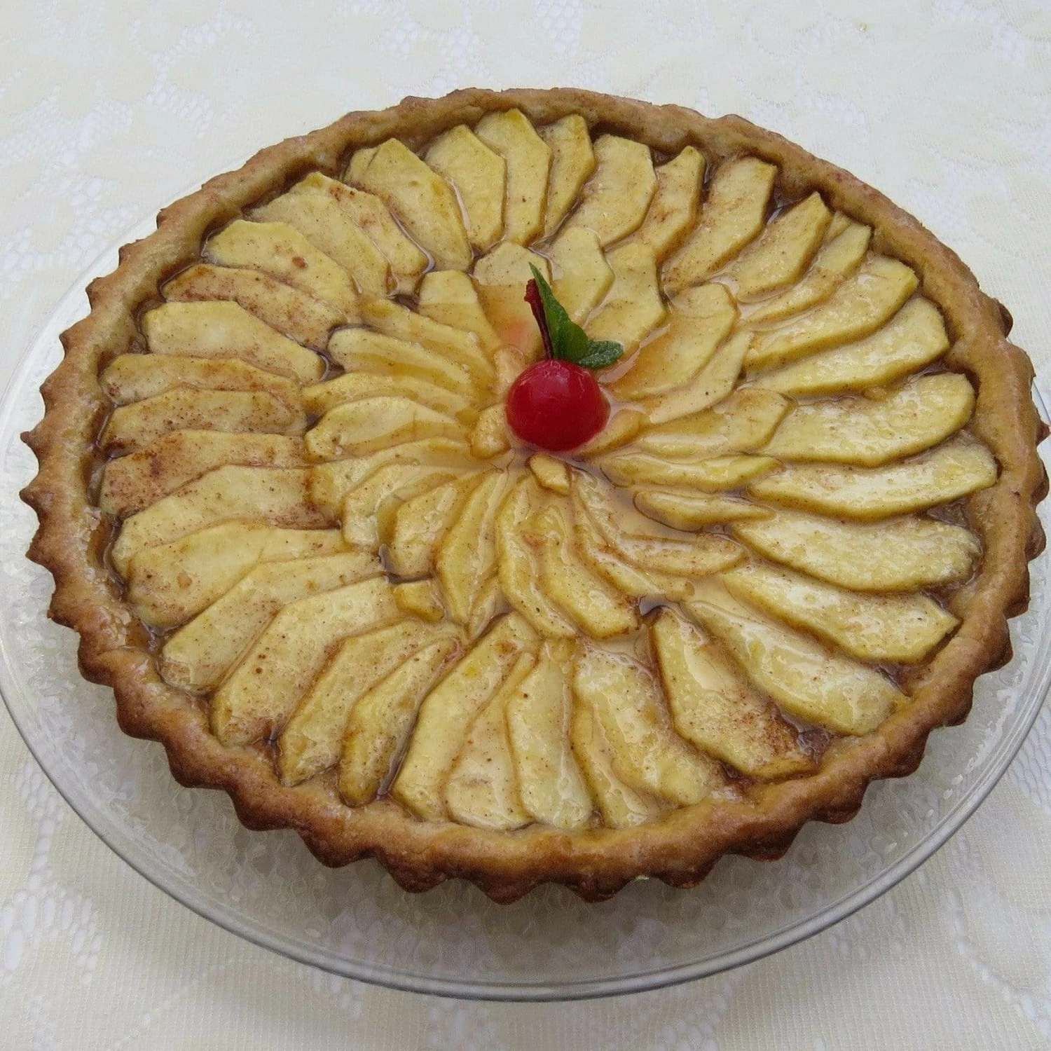 Roots Plants Grenadier Apple Tree 4 Roots Plants Grenadier Apple Tree