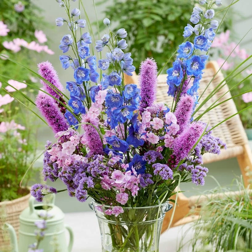 Roots Plants Delphinium 'Magic Fountains Mixed' Perennials 5 Roots Plants Delphinium 'Magic Fountains Mixed' Perennials