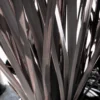 Roots Plants Phormium Platts Black All Shrubs 2 Roots Plants Phormium Platts Black All Shrubs