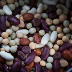 Roots Plants All Vegetable Plants Organic Gourmet Beans & Peas Collection 60 Plants