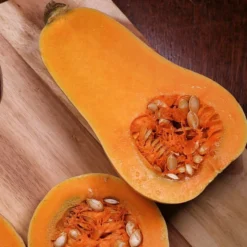 Roots Plants 3 Organic 'Waltham Butternut' Butternut Squash Plants Root Vegetables