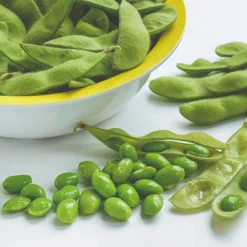 Roots Plants 63 Organic Stir Fry Vegetable Plants All Vegetable Plants